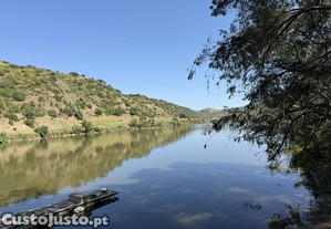 imagem_11