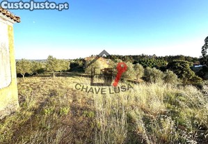 imagem_7