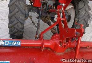 imagem_2