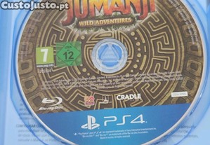 imagem_3