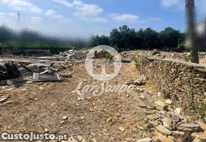 imagem_7