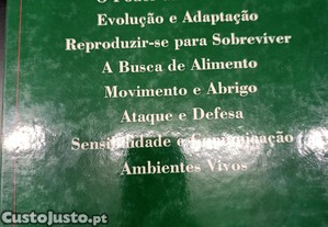 imagem_8