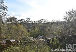 Terreno Agrícola em Chãos