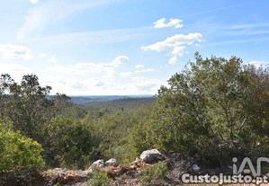 Terreno Agrícola em Chãos