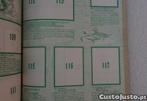 imagem_5