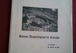 M. Correia Tavares-Ruínas Arqueológicas da Cárcoda-Viseu