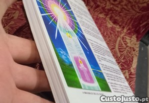 imagem_6