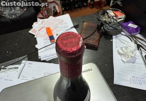 imagem_4
