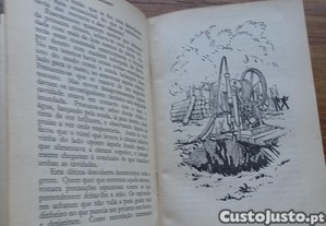 imagem_7