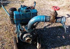 Motor de rega lombardini