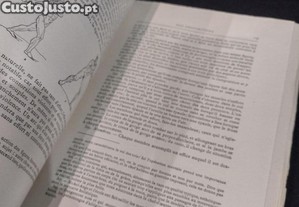 imagem_8