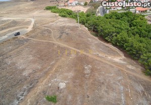 imagem_3