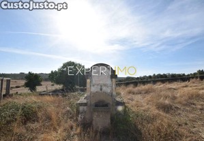 imagem_15