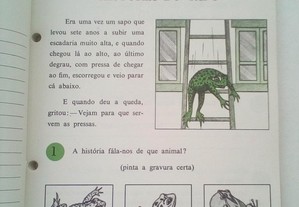 imagem_2
