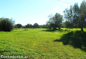 imagem_6