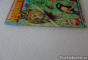 imagem_2
