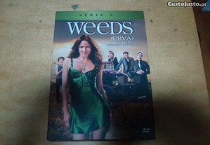 Serie original erva weeds 6 temporada