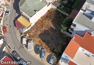 imagem_1