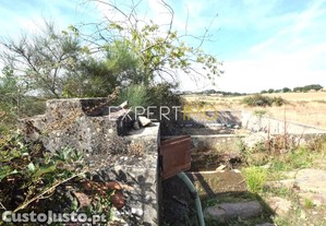 imagem_26