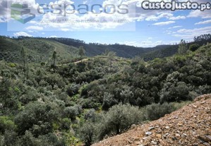 Vale Do Ocreza - Vilares De Cima