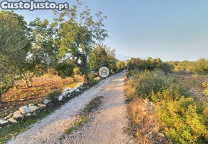 imagem_31