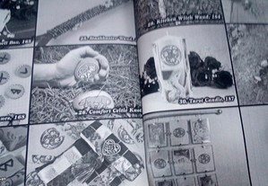 imagem_6