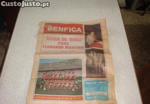 imagem_7