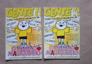 imagem_2