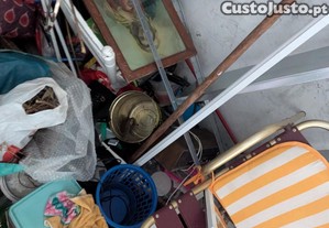 imagem_7