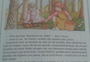 imagem_2
