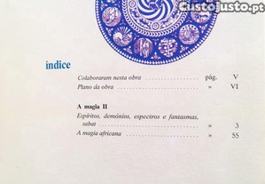imagem_11