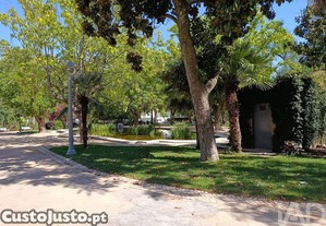 imagem_22