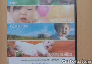imagem_1