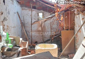 imagem_19