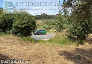 imagem_1