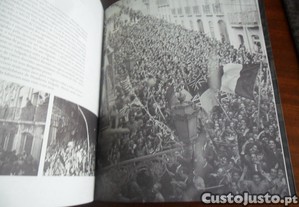 imagem_7