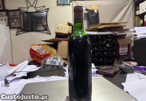 imagem_5