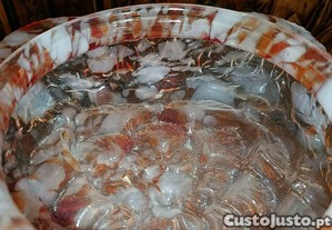 imagem_8