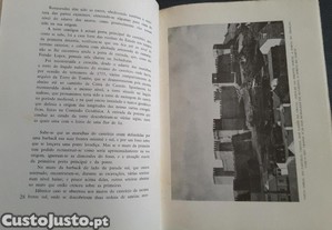 imagem_8