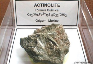 Actinolite 3x8x8cm-cx