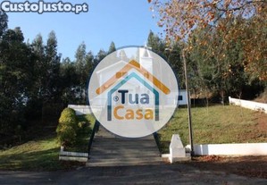 imagem_13