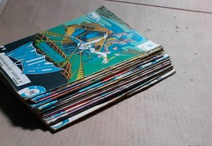 imagem_2