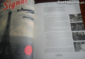 imagem_4