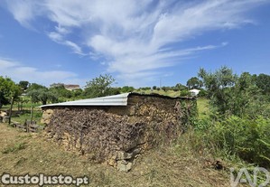 imagem_20