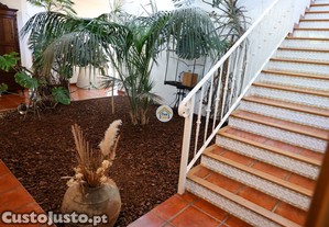 imagem_11