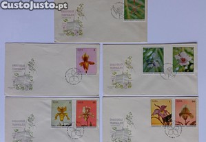 imagem_6