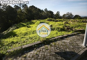 imagem_7