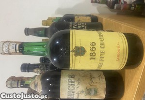 LARIOS Grande Fine Champagn 1866