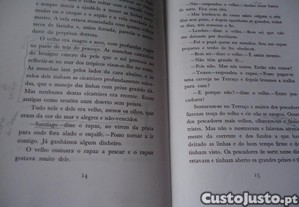imagem_8