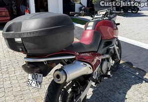 imagem_2